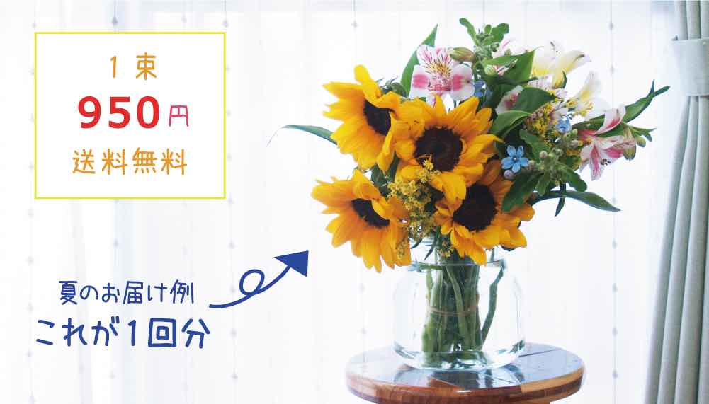 pureflower_月額1,900円