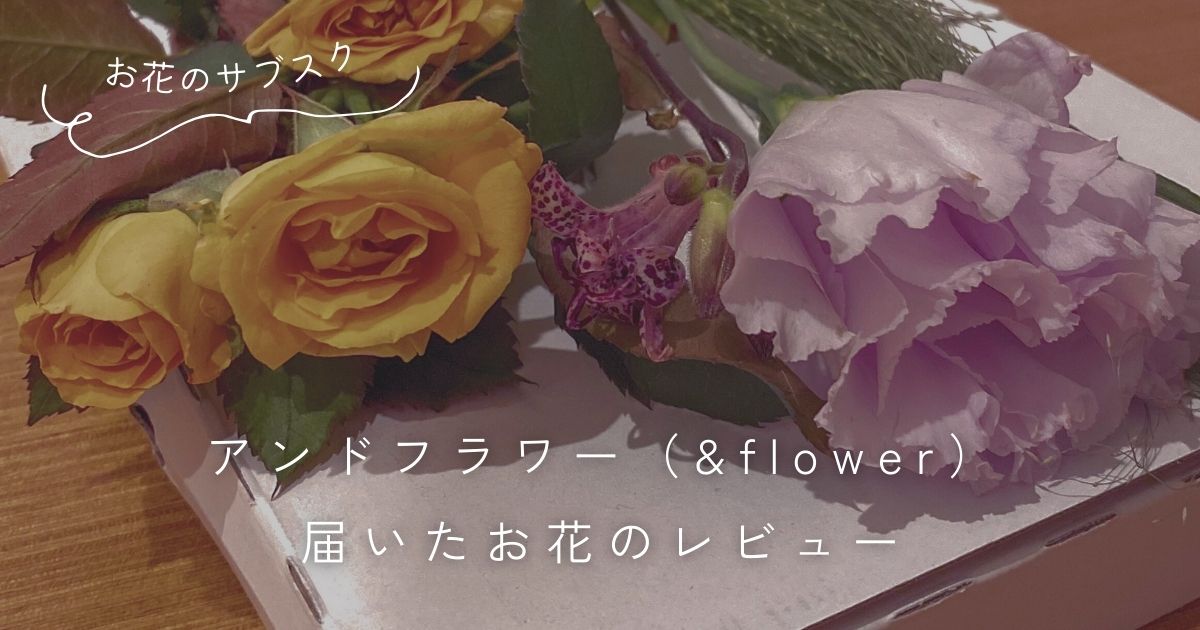 アンドフラワー（&flower）サブスクの口コミ評判と実際に届いたお花のレビュー