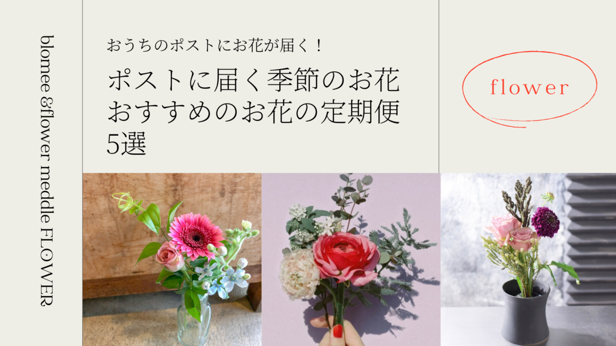 ポスト投函だから受け取りやすい おすすめのお花のサブスク 定期便5選 暮らしゆったり