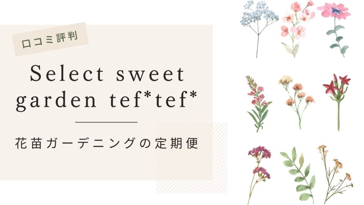 花苗ガーデニングの定期便 Select sweet garden tef*tef*の口コミ・評判・料金まとめ