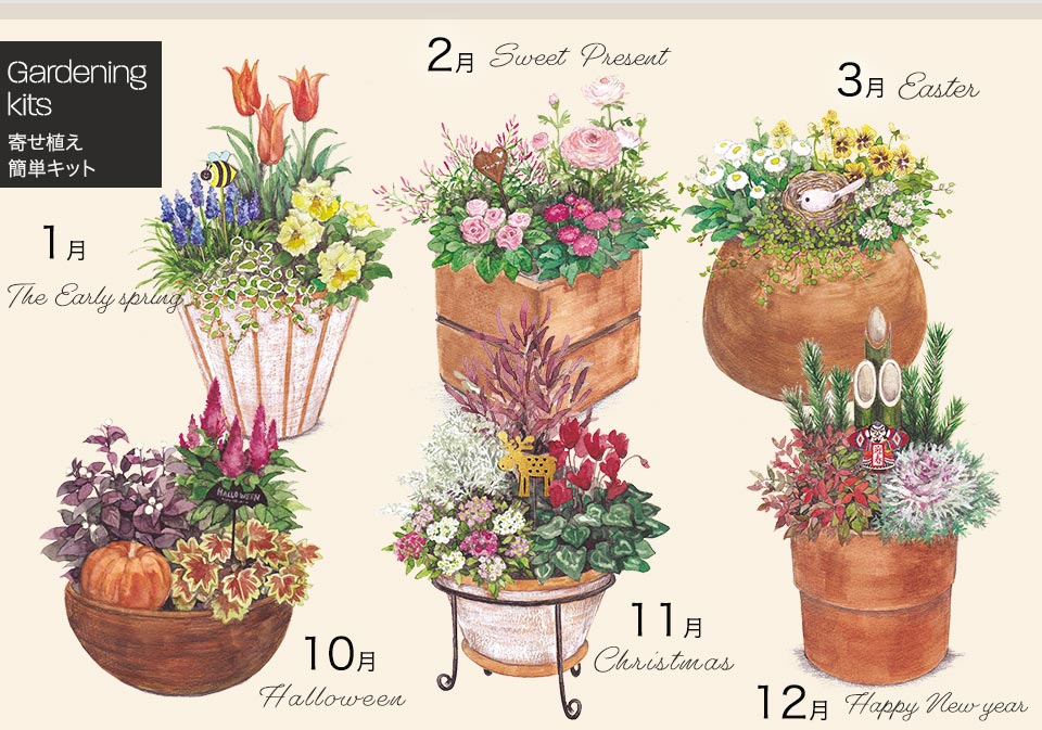 日比谷花壇のガーデニング 毎月楽しむ 寄せ植えガーデンコース など 4つのシリーズを解説 暮らしゆったり