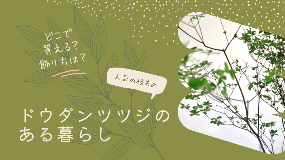 ドウダンツツジや季節の枝ものはどこで買えるの おすすめの購入方法や長持ちさせるコツ 暮らしゆったり