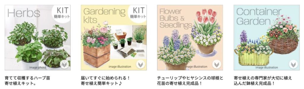 花苗ガーデニングの定期便 Select Sweet Garden Tef Tef の口コミ 評判 料金まとめ 暮らしゆったり 花苗ガーデニングの定期便 Select Sweet Garden Tef Tef の口コミ 評判 料金まとめ 暮らしゆったり