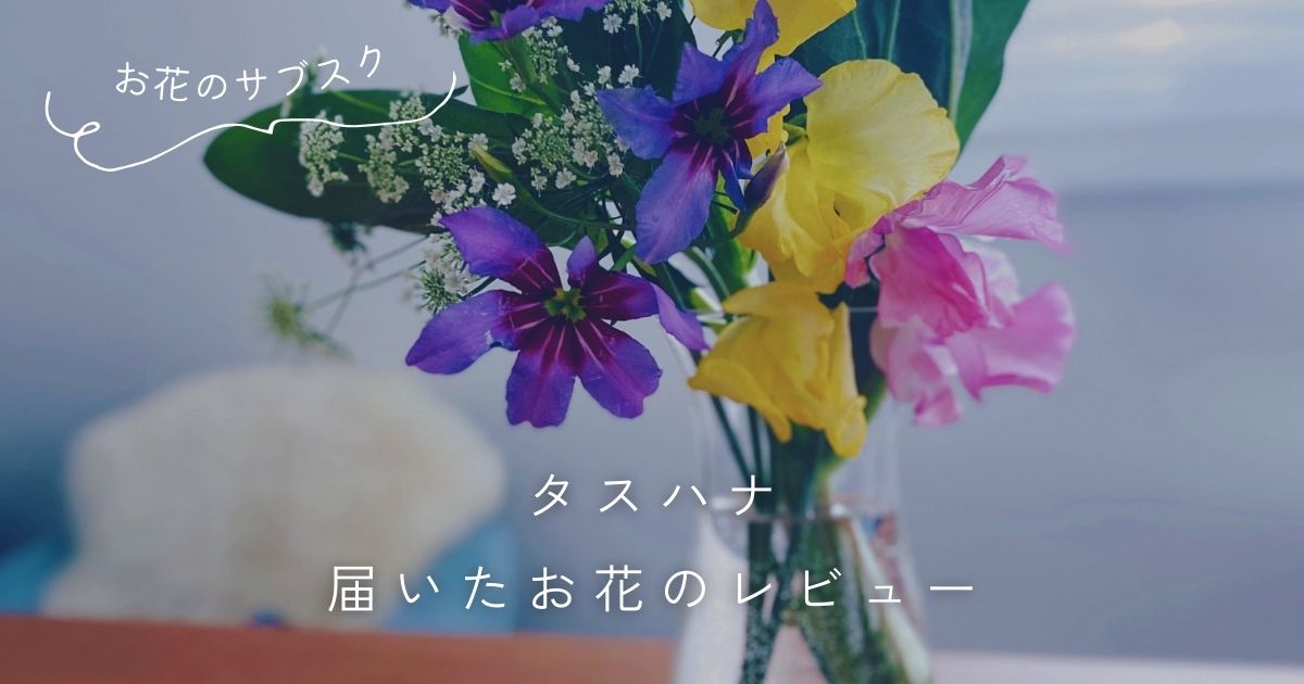 【サプライズがある花の定期便】タスハナ（＋hana）の口コミ評判と実際に届いたお花のレビュー