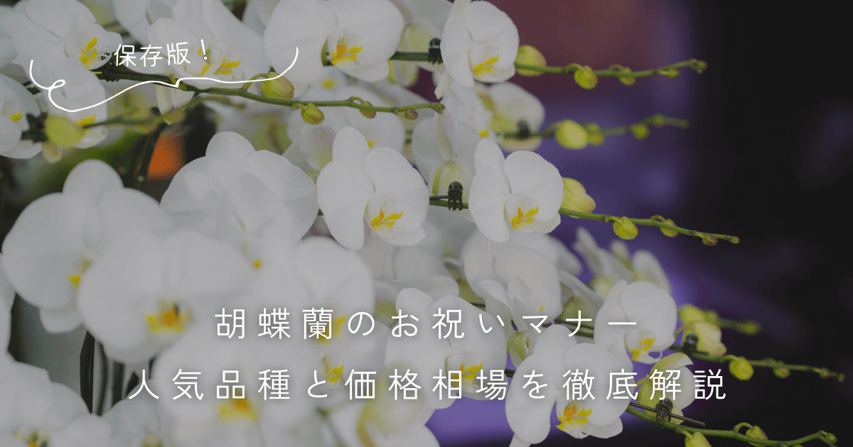 胡蝶蘭のお祝いマナー