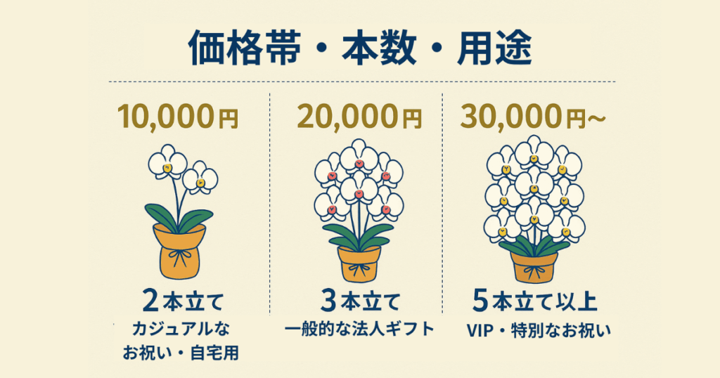 通販で胡蝶蘭を選ぶ際の3つのチェックポイント②