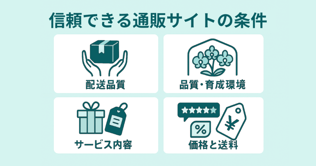 通販で胡蝶蘭を選ぶ際の3つのチェックポイント③
