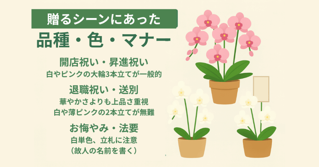 通販で胡蝶蘭を選ぶ際の3つのチェックポイント①