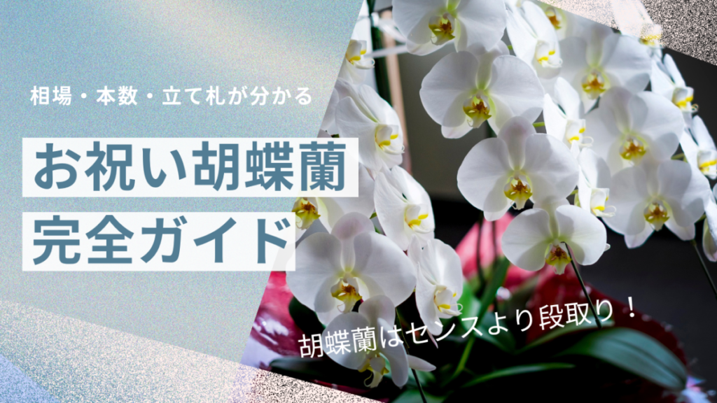 胡蝶蘭のお祝いはなぜ定番？失礼なく贈る相場・選び方・立て札まで完全ガイド